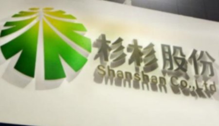 杉杉股份打造硅基一體化基地——抓住動力電池發(fā)展風(fēng)口