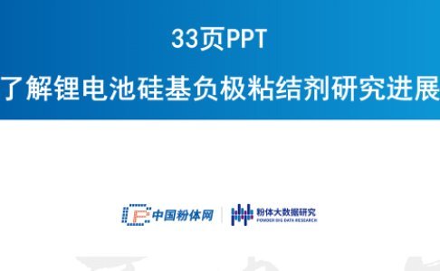 33頁P(yáng)PT了解鋰電池硅基負(fù)極粘結(jié)劑研究進(jìn)展