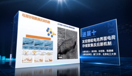 中國科學十大進展之發現鋰硫電池界面電荷存儲聚集反應新機制