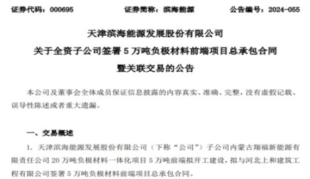 加快推進負極產業！濱海能源又一負極項目開工建設