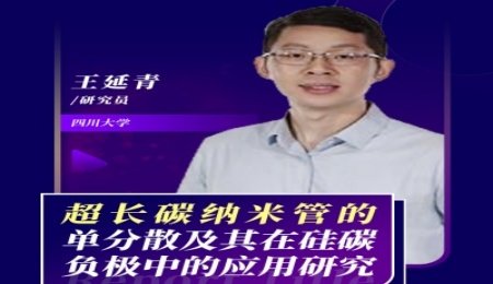 【會(huì)議報(bào)告】超長(zhǎng)碳納米管的單分散及其在硅碳負(fù)極中的應(yīng)用研究