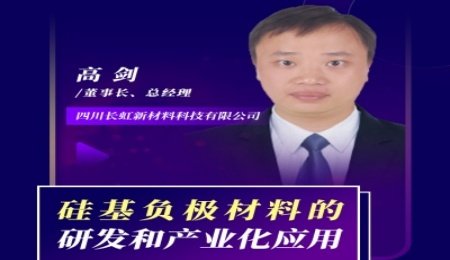 【會(huì)議報(bào)告】硅基負(fù)極材料的研發(fā)和產(chǎn)業(yè)化應(yīng)用